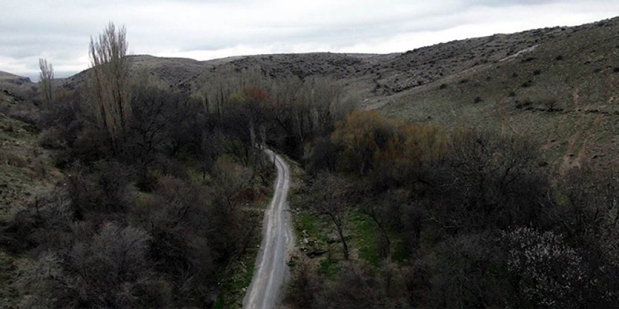 Koramaz Vadisi'nde 'bahar' güzelliği