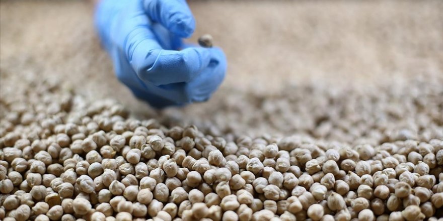 Türkiye'nin son 3 yıldaki bakliyat ihracatı 1 milyar dolara yaklaştı