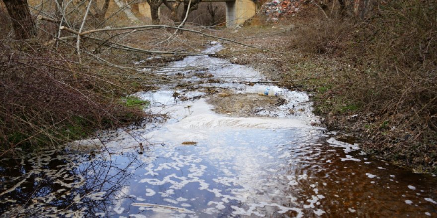 Bu derenin suyu kahverengi ve köpüklü akıyor