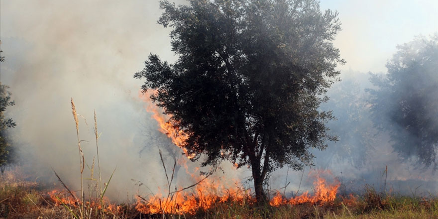 Düğün salonundan atılan havai fişekler, yangına neden oldu