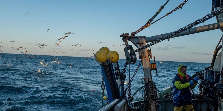 Yasak sahada balık avlayanlara ceza uygulandı