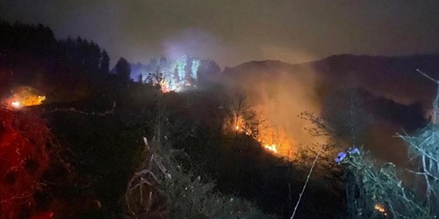 40'tan fazla ülkede ormanlar alev alev yanıyor