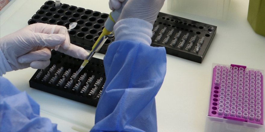 Türkiye'de son 24 saatte 5 bin 955 kişinin testi pozitif çıktı