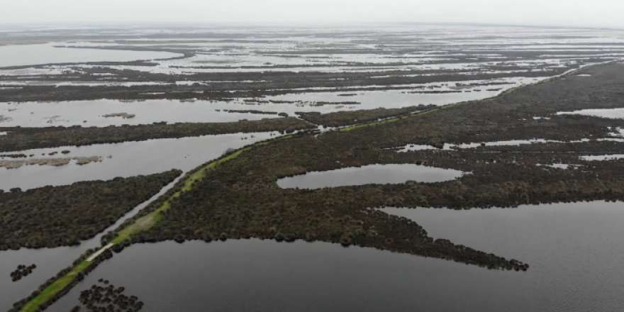 Kızılırmak Deltası eski haline döndü