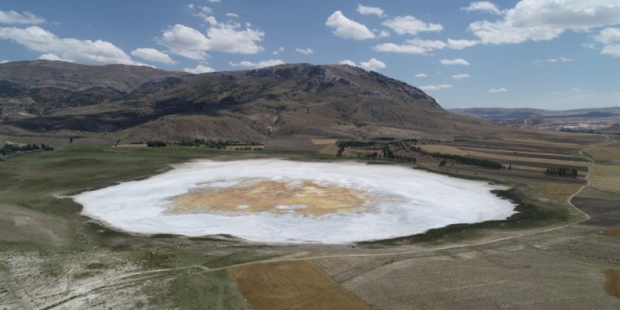 Görüntüsüyle korkutmuştu, eski haline kavuştu