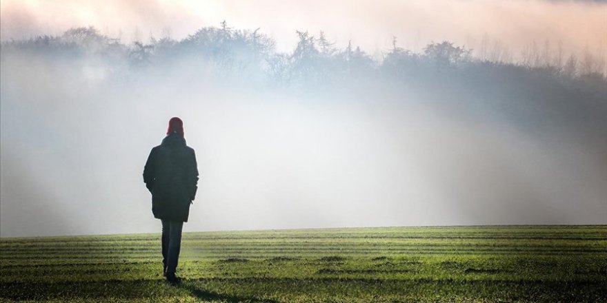 Yaşanılan çevre insan beynini etkiliyor