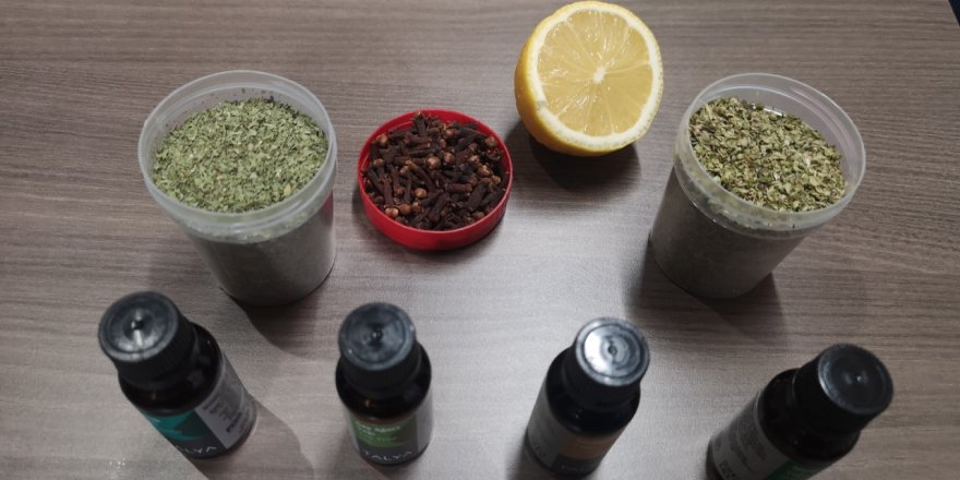 Koronavirüs sonrası koku sorununa doğal formül; limon, kekik, nane yağı ve karanfil