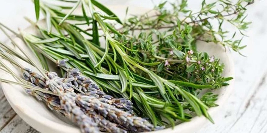 Covid-19 salgını kekiğe olan talebi arttırdı