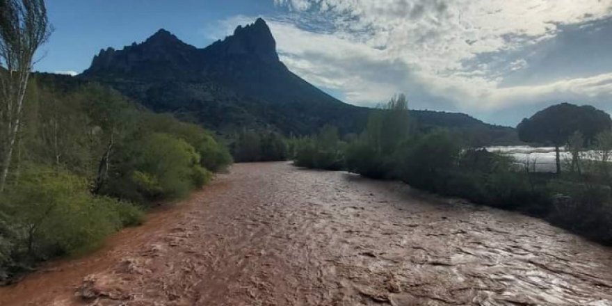 Yağışların etkisiyle Sakarya Nehri kahverengine boyandı
