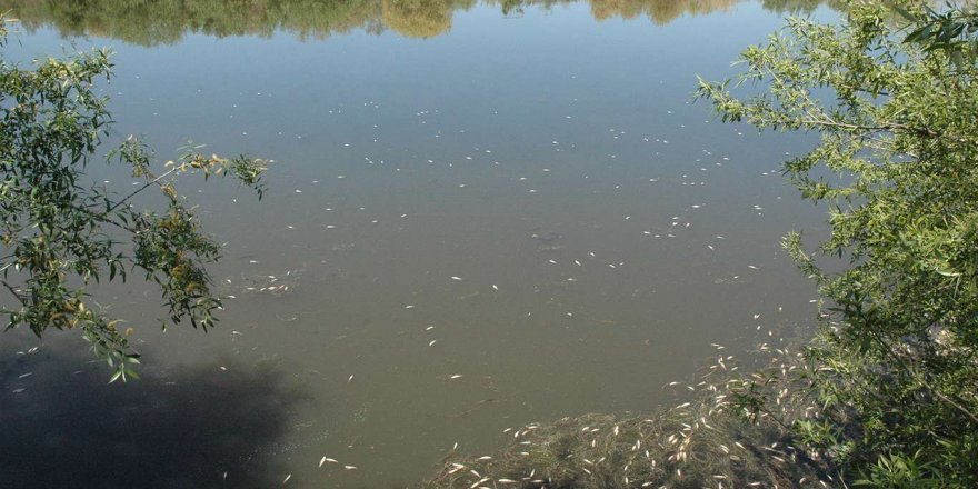 Dicle Baraj Gölü'nde fosil yakıtlı teknelere izin verilmeyecek