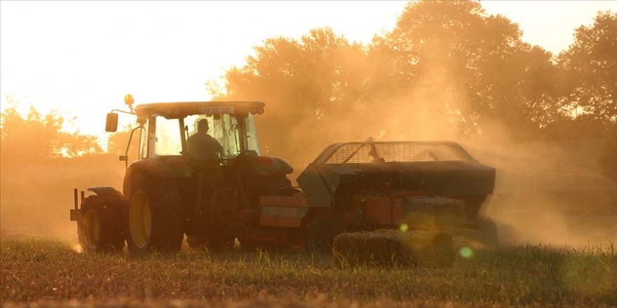 TKDK yılın ilk çeyreğinde 949 projeye 369,5 milyon lira hibe desteği verdi