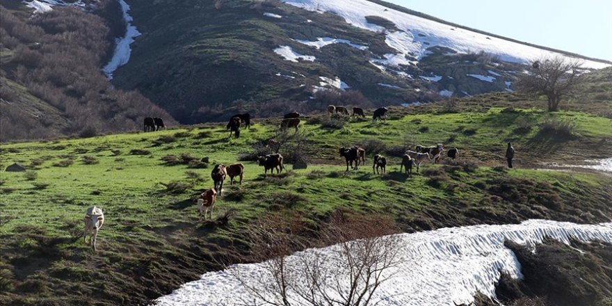 Ağrı'da bahar güzelliği