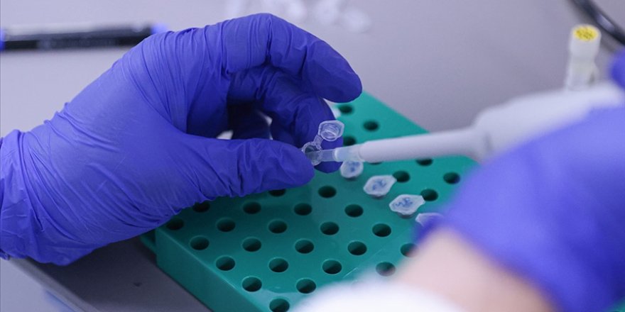 Türkiye'de 12 'Kovid-19 aşı' çalışması yürütülüyor