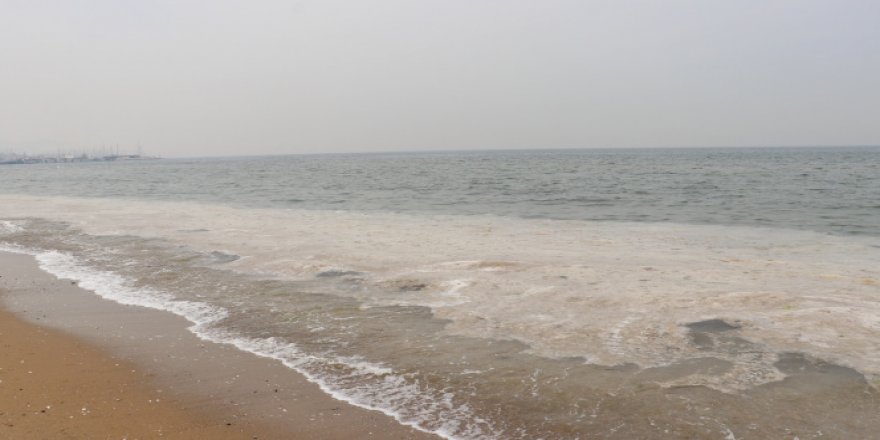 Marmara Denizi beyaza büründü
