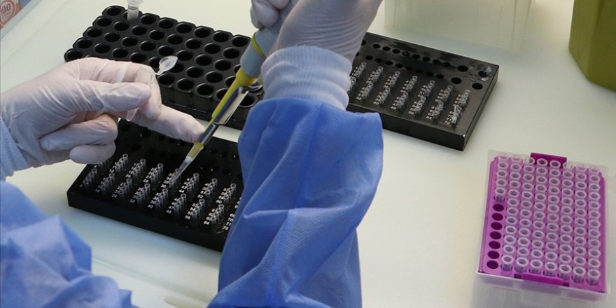 Kovid-19 varyantları salgınla mücadelede yeni güçlükler ve belirsizlikler yaratıyor