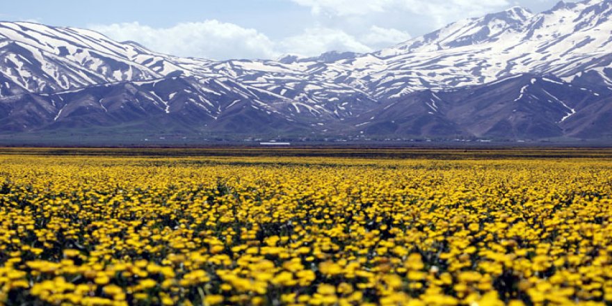 Yüksekova'da bahar güzelliği