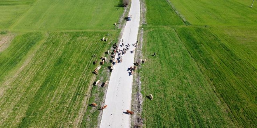 Yaylalara "göç" başladı