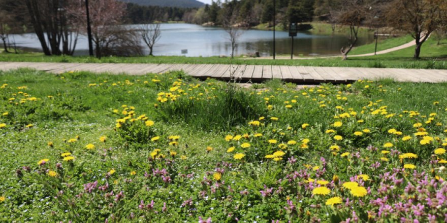 Kalabalık şehirlerde tabiata temas eden yalnızlık hissinden uzaklaşıyor