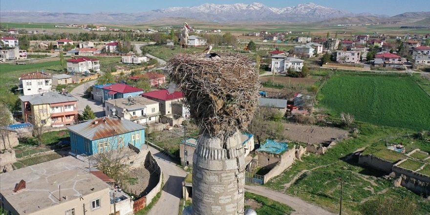 Çiçekli köyü camisindeki yuva leyleklerin 62 yıldır değişmeyen adresi oldu