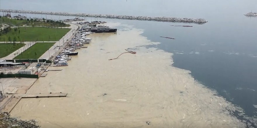 Anadolu Yakası'nda deniz yüzeyinde oluşan beyaz tabaka kıyıya da vurdu