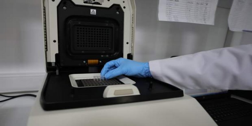 Yerli tanı kiti mutasyonlu virüse karşı daha doğru sonuç veriyor