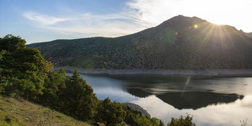 Tunceli'nin saklı cenneti 'Gemici Vadisi'nde ilkbahar güzelliği yaşanıyor