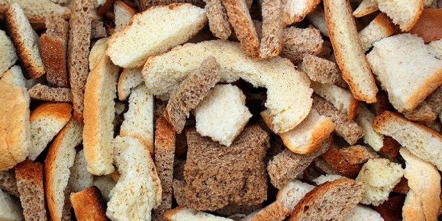 Kuru ekmekler biyogübre üretiminde kullanılacak