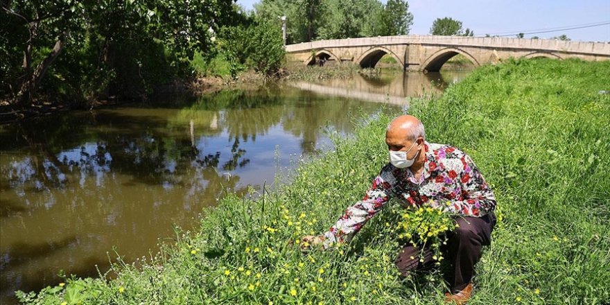 Romanların bahar bayramı 'Kakava' koronavirüs nedeniyle bu yıl da buruk geçecek