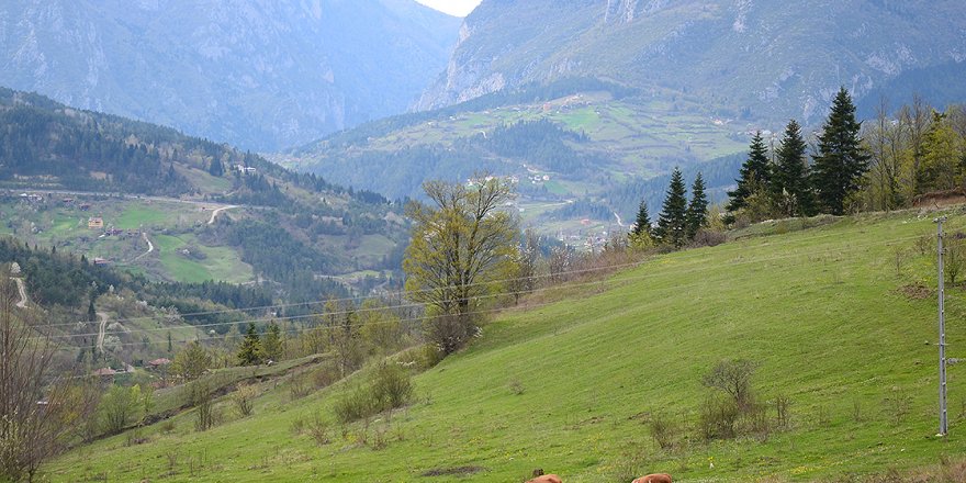 'Saklı cennet' Şenpazar doğa içinde izolasyon imkanı sunuyor