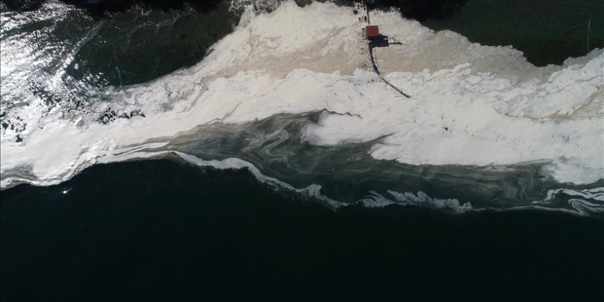 Tekirdağ'da deniz yüzeyinde oluşan beyaz tabaka kıyıya da vurdu