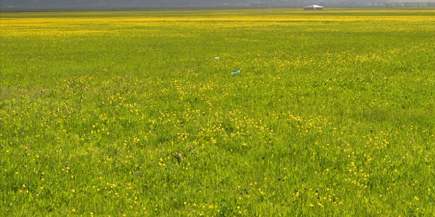 61 ova 'büyük ova koruma alanı' olarak belirlendi