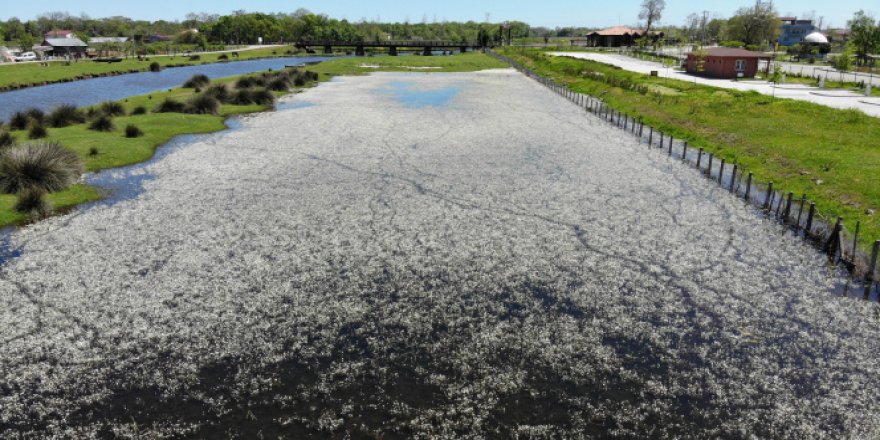 Kuş Cenneti beyaz gelinliğini giydi