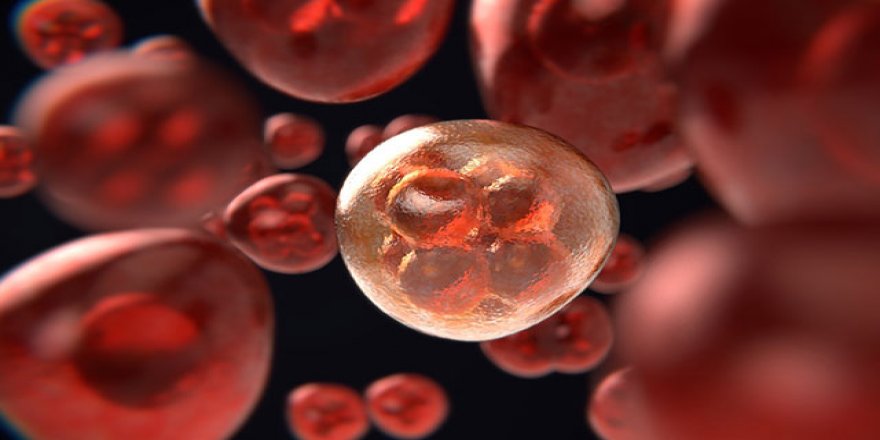 Koronavirüs salgını, 1 milyon kanser vakasının gözden kaçmasına neden oldu