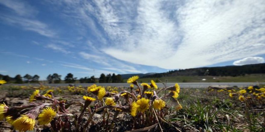 Sıcaklıklar 12 derece birden artacak, cuma günü yaz havası yaşanacak