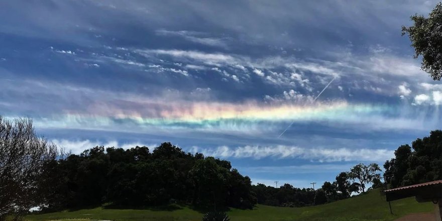 Soğuk iklimli bölgelerde rastlanan ateş gökkuşağı, Adana’da görüldü