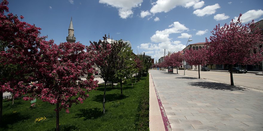 Tarih kokan şehir Erzurum bahar renklerine büründü