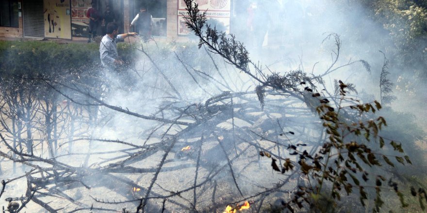 Ankara'da şiddetli rüzgar; ağaçlar devrildi, elektrik telleri koptu
