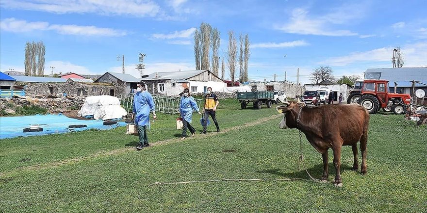 'Koronavirüs savaşçıları'ndan kırsalda filyasyon ve aşı seferberliği