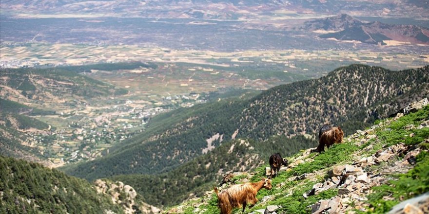 Amanos Dağları'na doğa yürüyüşçüleri ve amatör fotoğrafçıların ilgi odağı oluyor