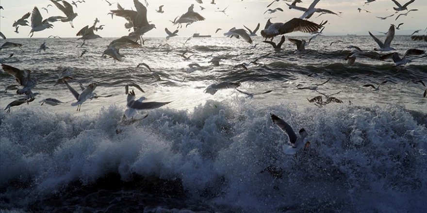 AA çalışanı denizde kayboldu