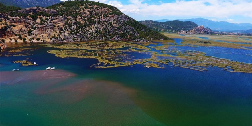 Labirent görünümlü Dalyan sazlıkları misafirlerini yine eşsiz bir yolculuğa çıkaracak