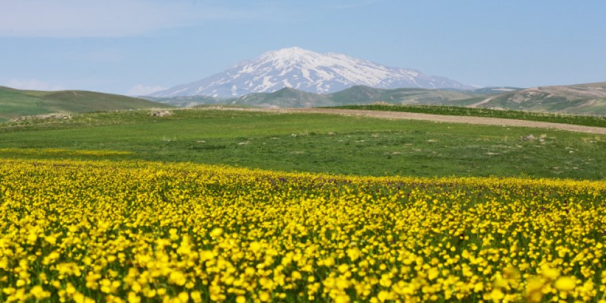 Ahlat'ta renk cümbüşü