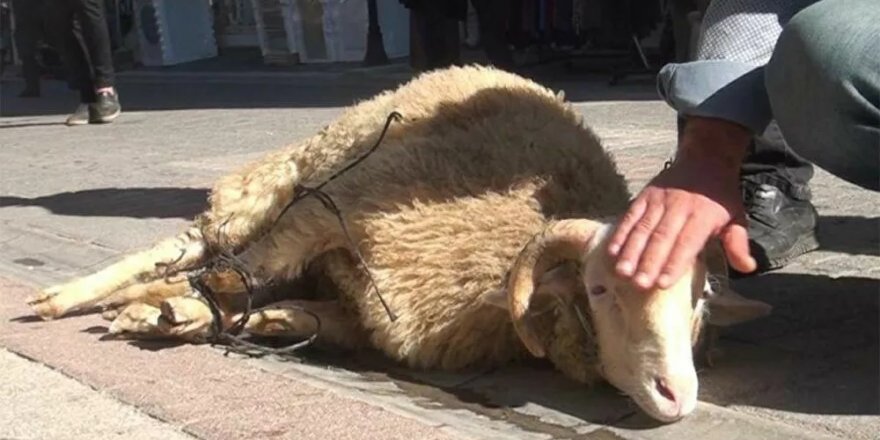 Esnaf, koronavirüs musibetinin bitmesi için kurban kesip dua etti