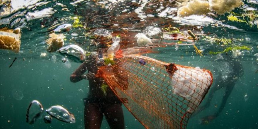 Deniz kirliliği önce balıkları vuruyor