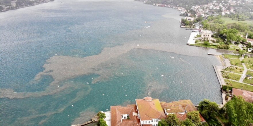 İstanbul Boğazı'nda suyun rengi değişti, çamura bulandı