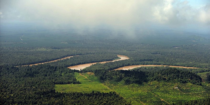 Tabiatın dengesini bozan insanoğlu salgın hastalıkla tokat yiyor