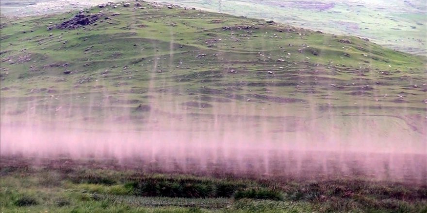 Çıldır Gölü sazlığında binlerce sineğin uçuşu böyle göründü