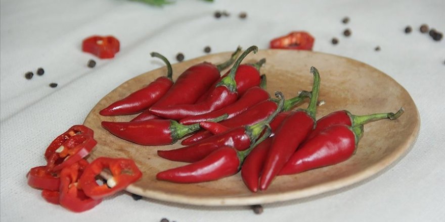 Acıyı seven kişilerin Kovid-19’a yakalanma riskinin düşük olduğu öne sürüldü