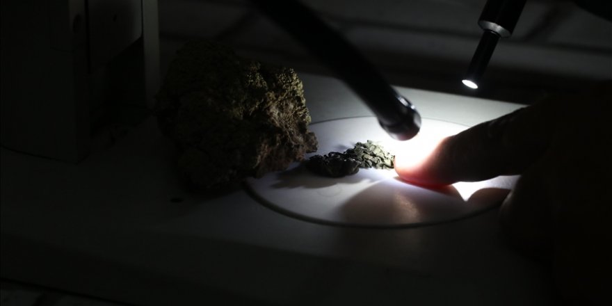 Piri Reis'in ismi Türk bilim insanı tarafından Antarktika'da keşfedilen liken türünde yaşatılacak