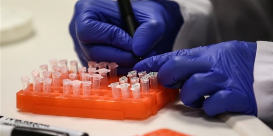 Helal laboratuvarlarında ‘Müslüman’ personel çalışmalı